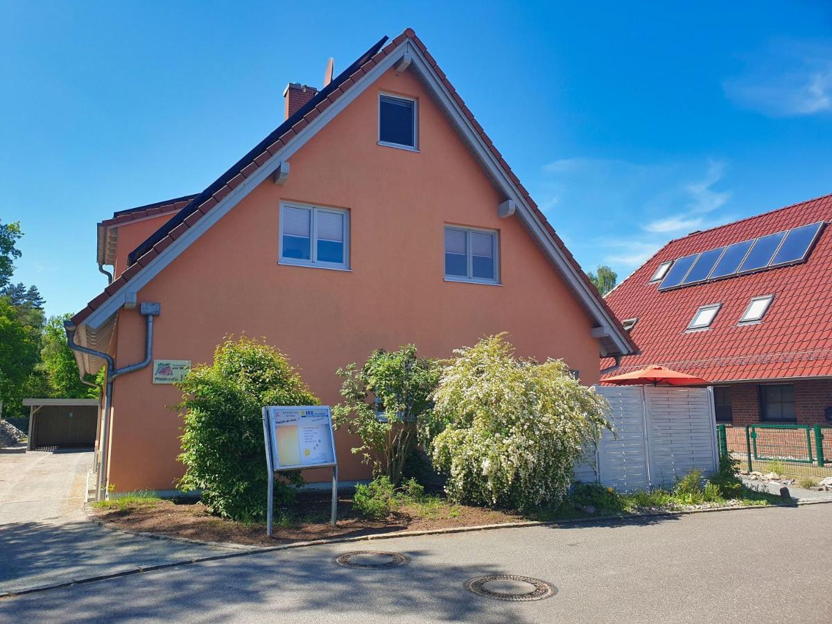 Moderne Fewo Nr 4 Mit Balkon, Sauna Im Haus, Garten - Ferienwohnungen Am Wald Klein Gelm Eksteriør bilde